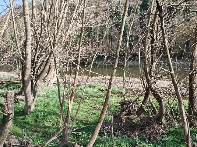  БМЧК - Ловеч почистиха боклуци към река Осъм в Деня на реката 