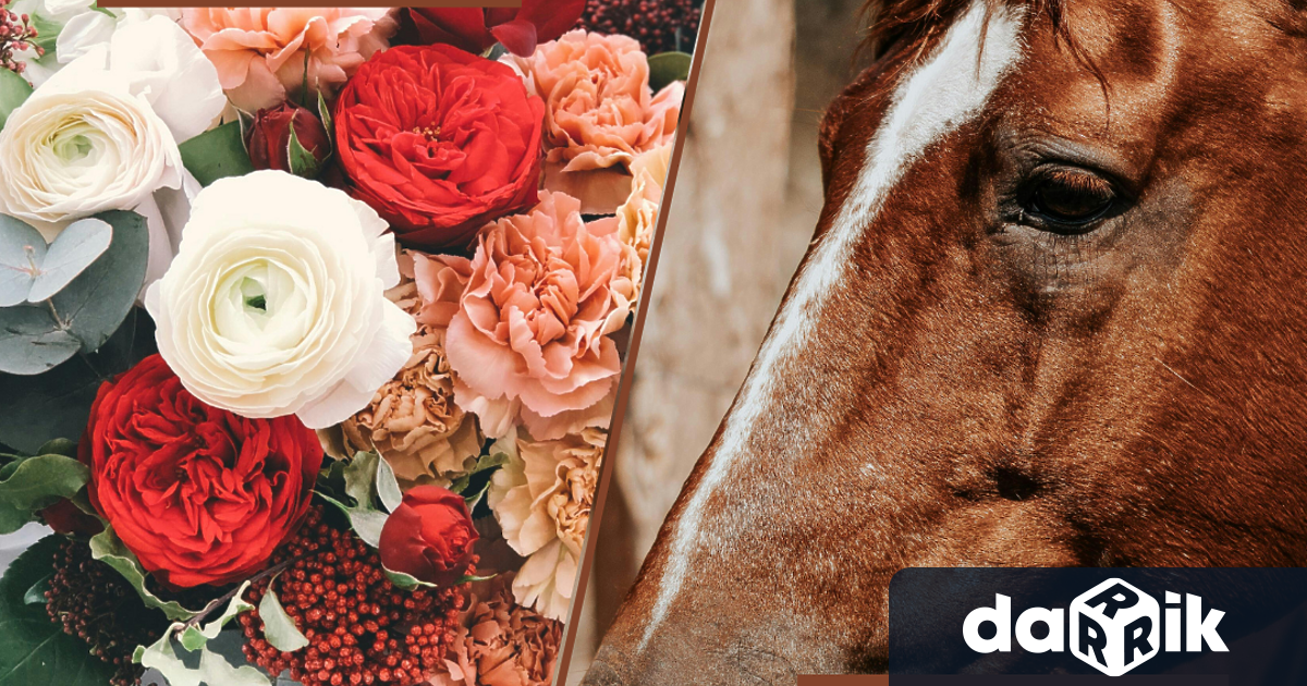 Ръководството на ЮИДП ДП – Сливен поздравява всички дами по