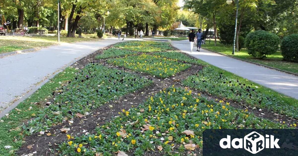 Община Пловдив вече разполага със собствен терен от 20 декара