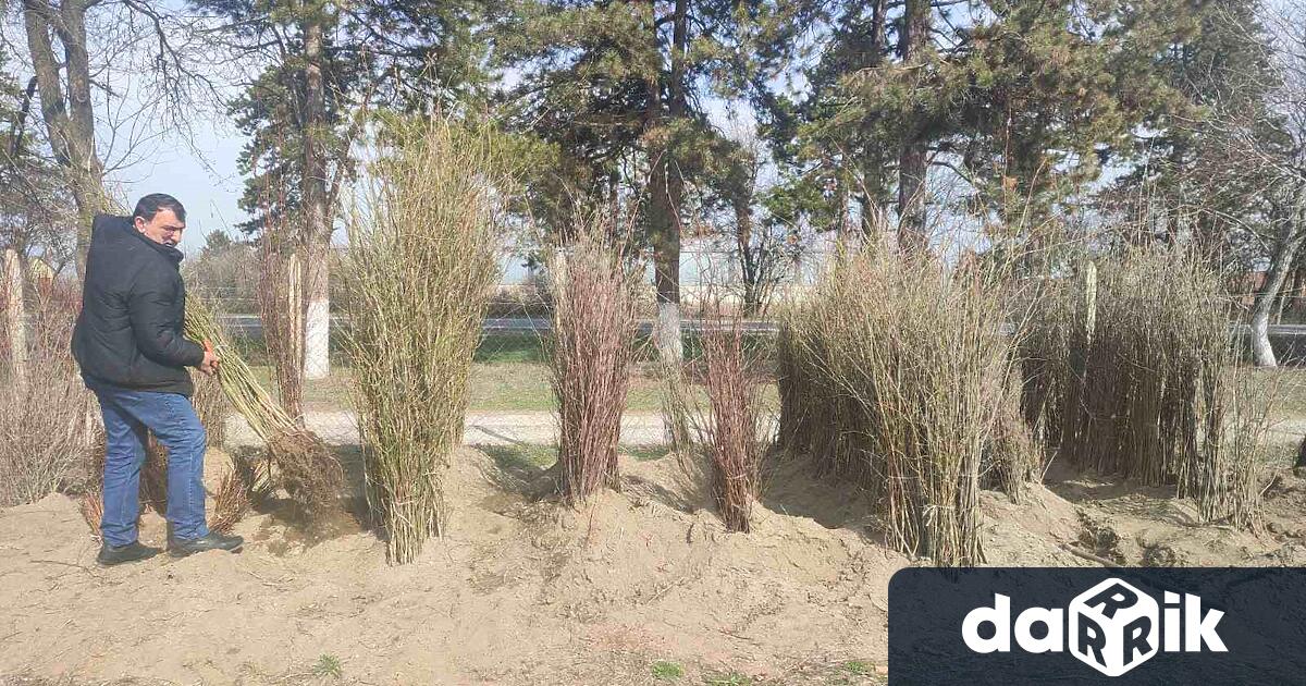 По инициатива на Община Плевен и Гората бг тринадесет плевенски детски