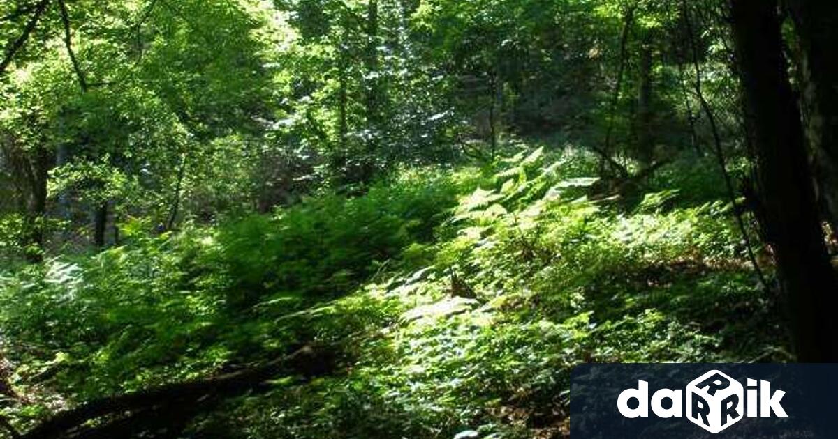 По повод 100 години от първото честване на Седмица на