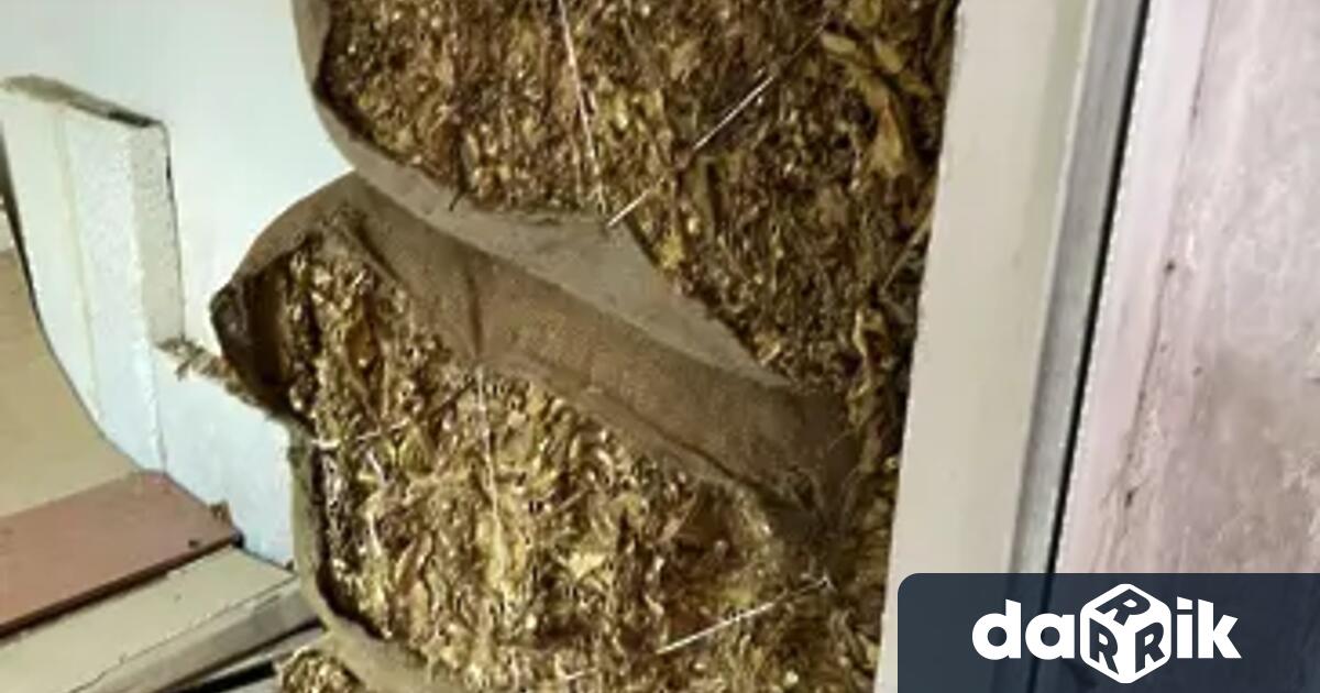 40 килограма нелегален тютюн са иззети от криминалисти при специализирана