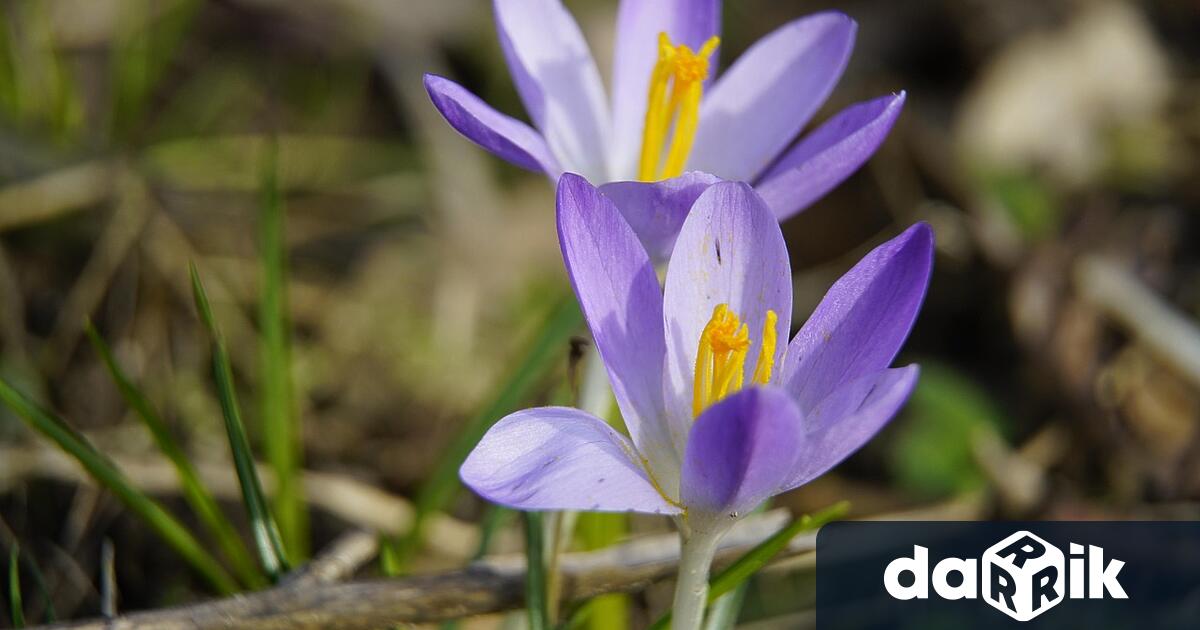 Седмицата започва със слънчево и по топло време от нормалното за