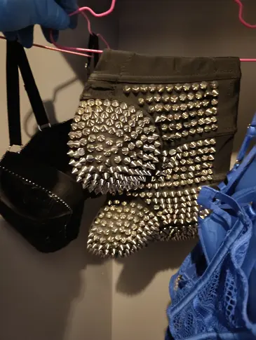  От 50 до 700 евро, прибирали зоосадистите за видео с издевателства над животни 