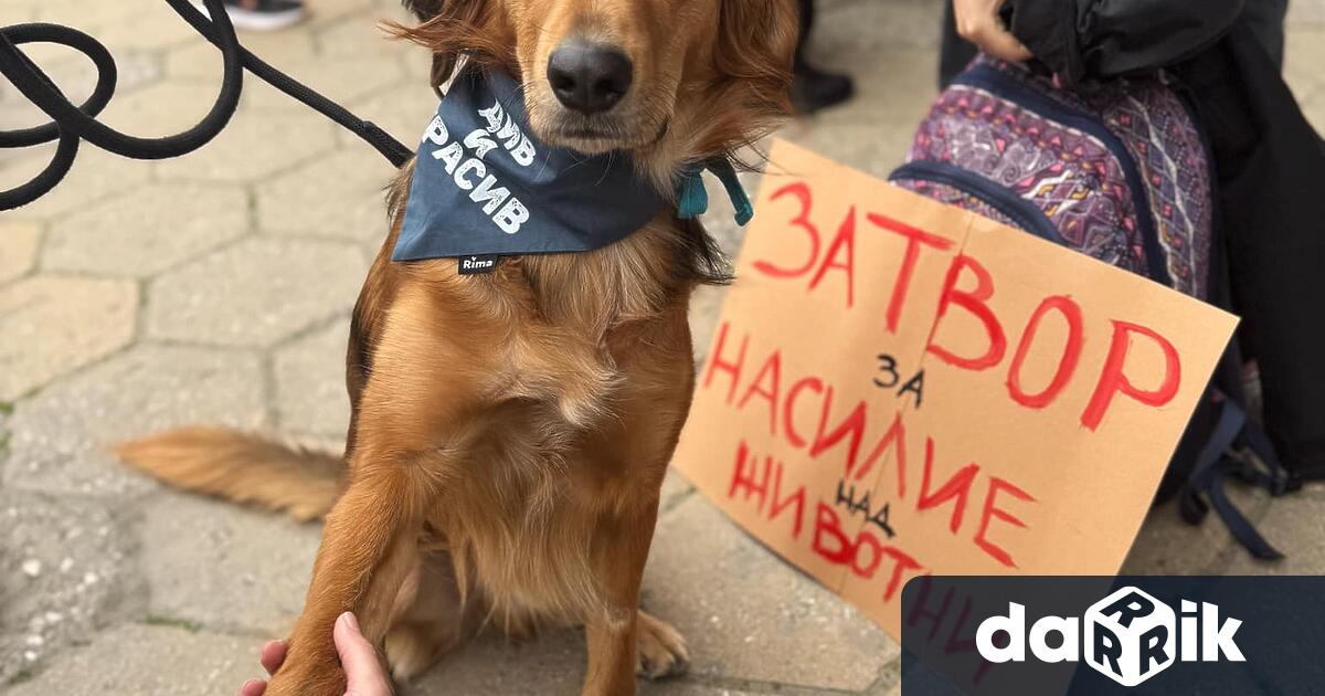 В Пловдив ще се проведе втори протест срещу обвинените в