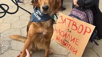 „Не на садизма“: втори протест в Пловдив настоява за ефективни действия срещу насилието над животни