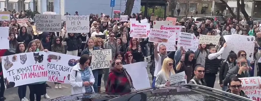  Стотици пловдивчани излязоха в отбрана на животните (видео) 