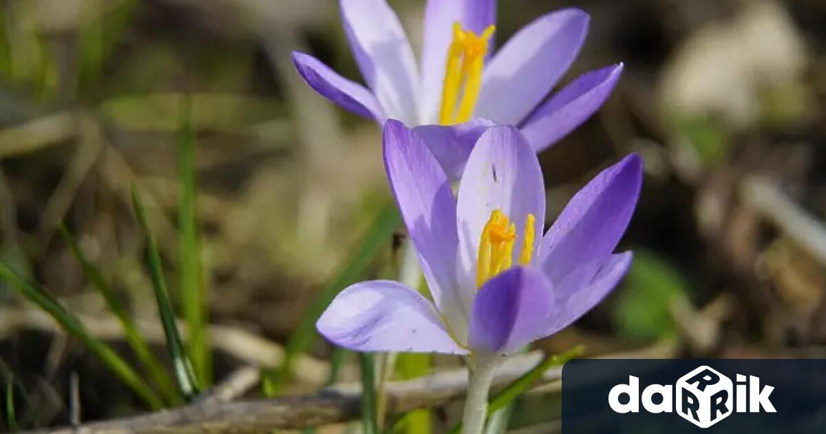 След студеното време през изминалите дни на седмицата краят ѝ