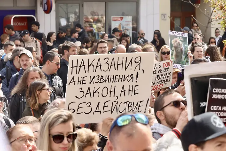  Българска телеграфна агенция 