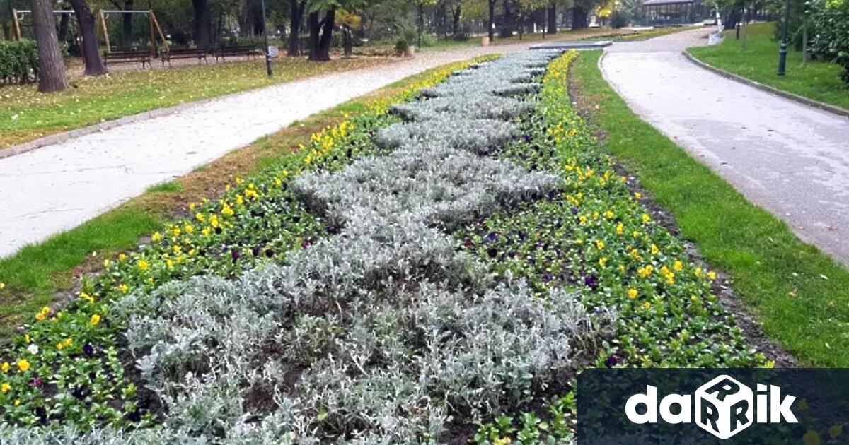 С мнозинство от гласове Общинският съвет на Пловдив отхвърли две