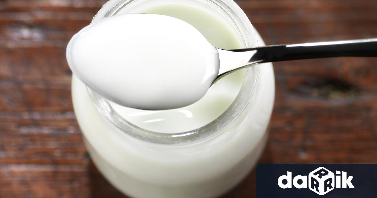 Пoледната седмица се забелязва леко поскъпване на киселото мляко съобщи