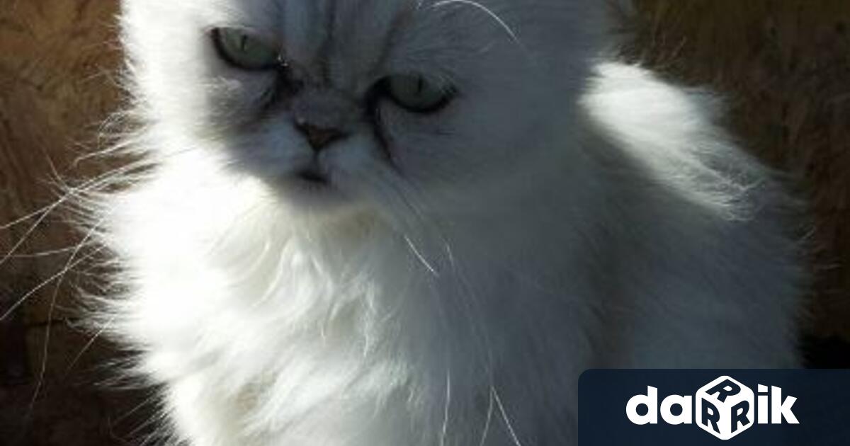 Протестът е част от и в подкрепа на Националния протест