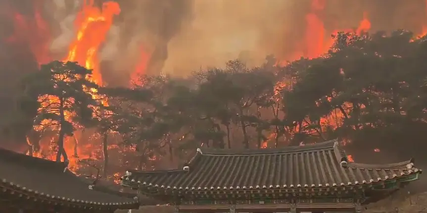  Социална мрежа Х 