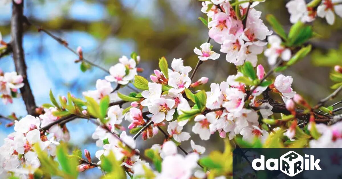 Днес преди обяд над по голямата част от страната ще бъде