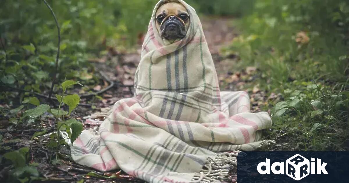 През следващото денонощие времето в страната ще е динамично След