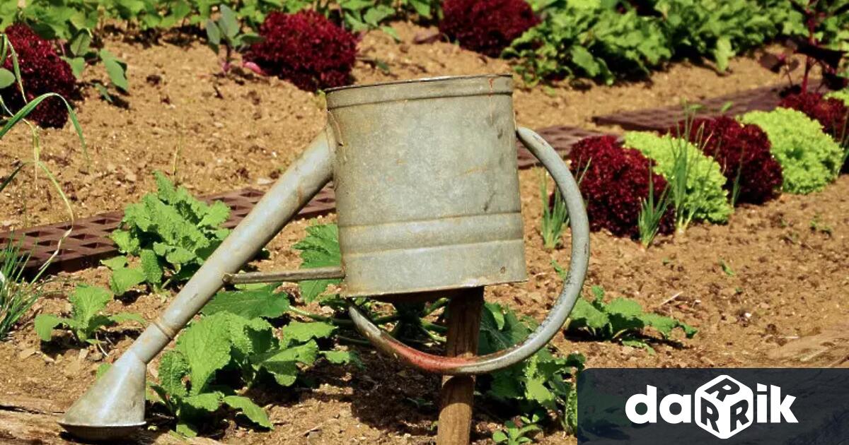 Липсата на вода за напояване изправи в протестна готовност земеделските