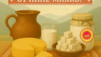 Обичаш сирене и млечни продукти - ела да опиташ във Враца!
