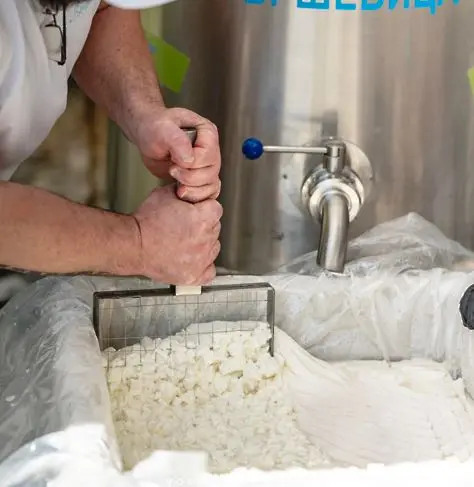 Втори фестивален ден на сиренето и млечните продукти във Враца
