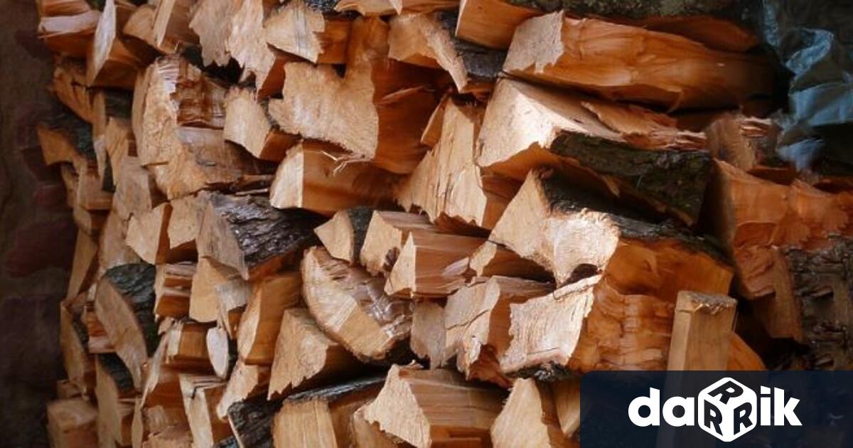Незаконно добити дърва за огрев са открити в частен имот