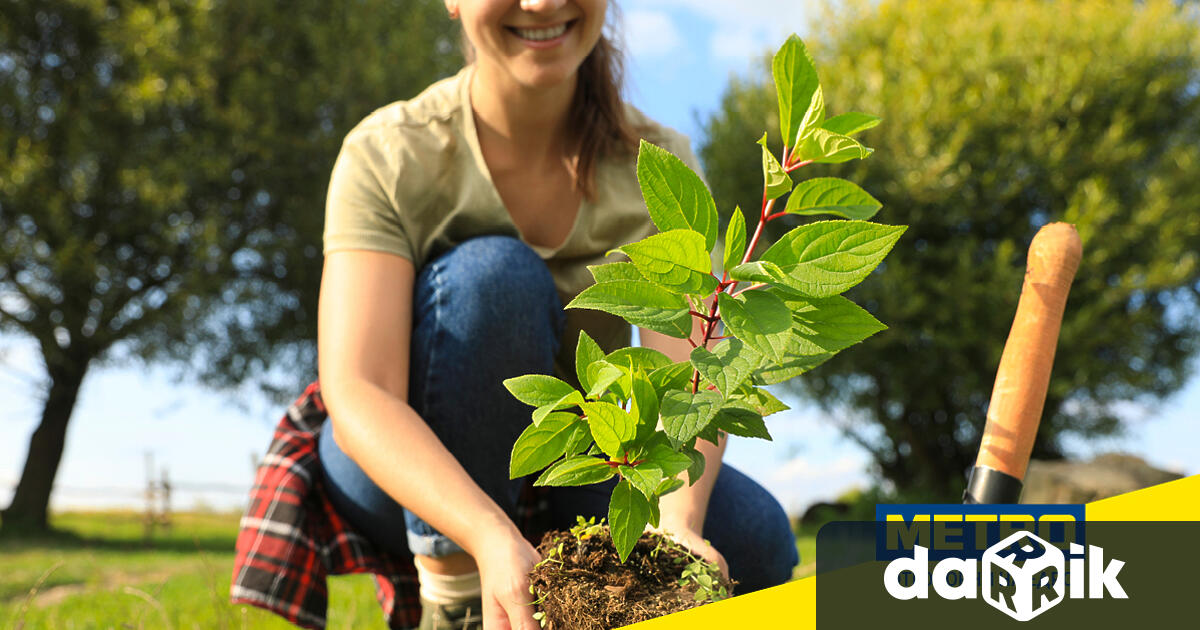 В рамките на своя ангажимент към устойчивото развитие и опазването