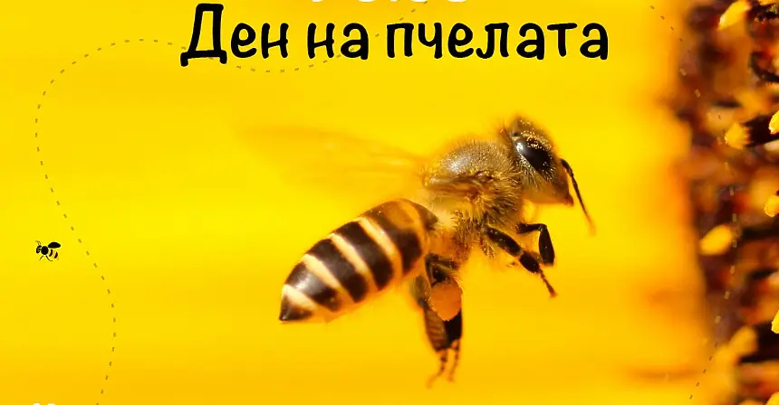 Петото издание на фестивала „Денят на пчелите” ще се проведе на 17 май в Южния парк