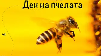 Петото издание на фестивала „Денят на пчелите” ще се проведе на 17 май в Южния парк