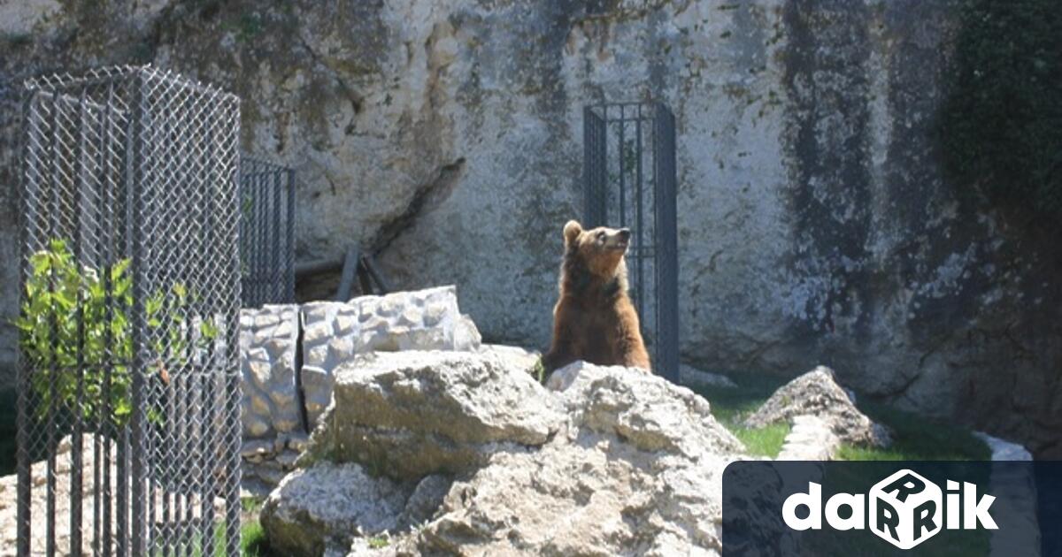 18 май професионален празник честват всички служители работещи в зоологическите