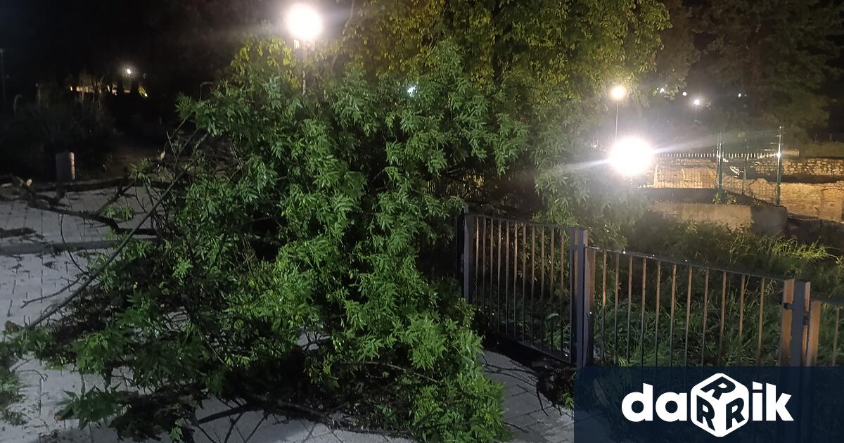 Празничните шествия по повод 24 май в Хисаря тази година