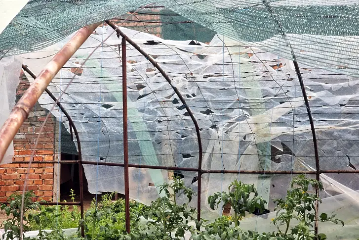  “Като бомбардировка ”: Градушка помля градини и годишна продукция в село Тенево 