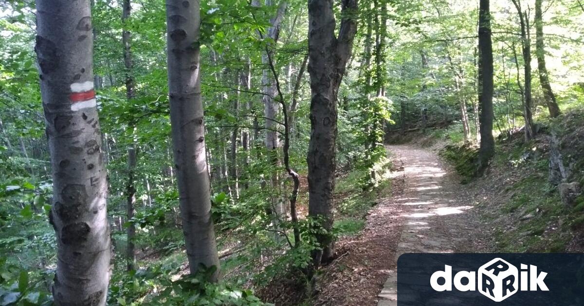 Държавно горско стопанство Габрово уведомява че в местност Градище отдели