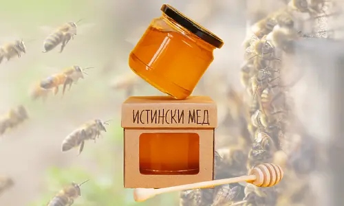 Как да разпознаем истинския мед?