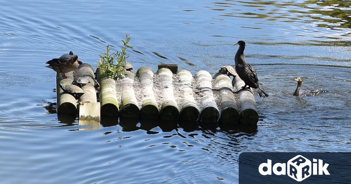 Международният ден на биологичното разнообразие е обявен за да се