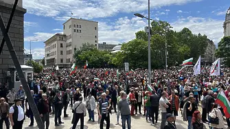 Протест в София в защита на българския лев 