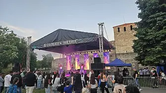 Започна  шестото издание на Summer Vibes Festival 2025 във Видин