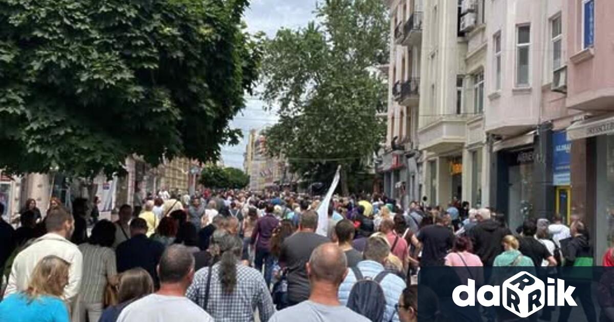 С плакати транспаранти и възгласи в защита на българския лев