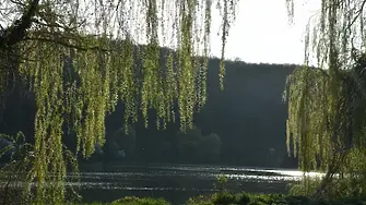28 май - Ден на парковете в България