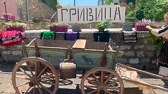  Тази събота село Гривица отбелязва своя празник 