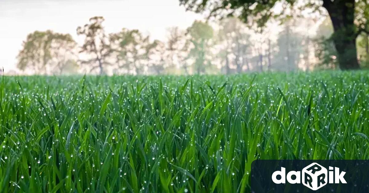 Днес преди обяднад по голямата част от страната ще преобладава слънчево