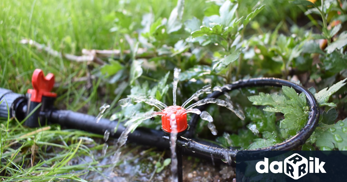 Когато става въпрос за градинарство и подобряване на ефективността едно