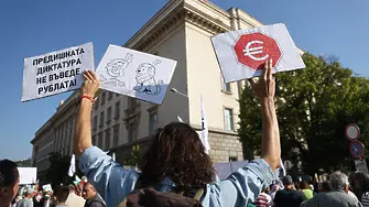 Преди доклада за еврото: Поддръжници на лева протестират в центъра на София 