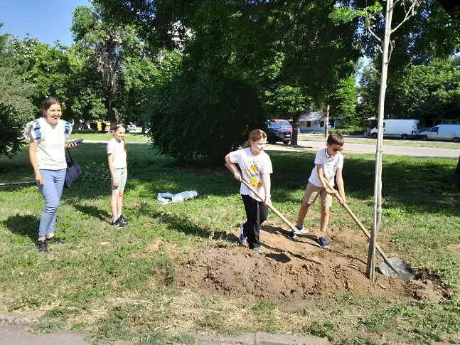 Община Видин засади нови дървета в парк „Владикина Бахча“