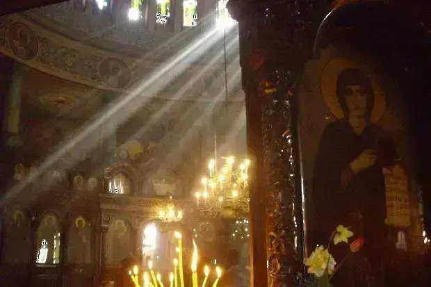 Черешова задушница е