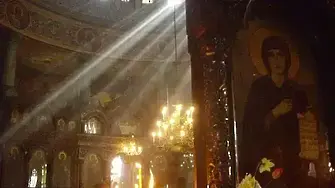Черешова задушница е