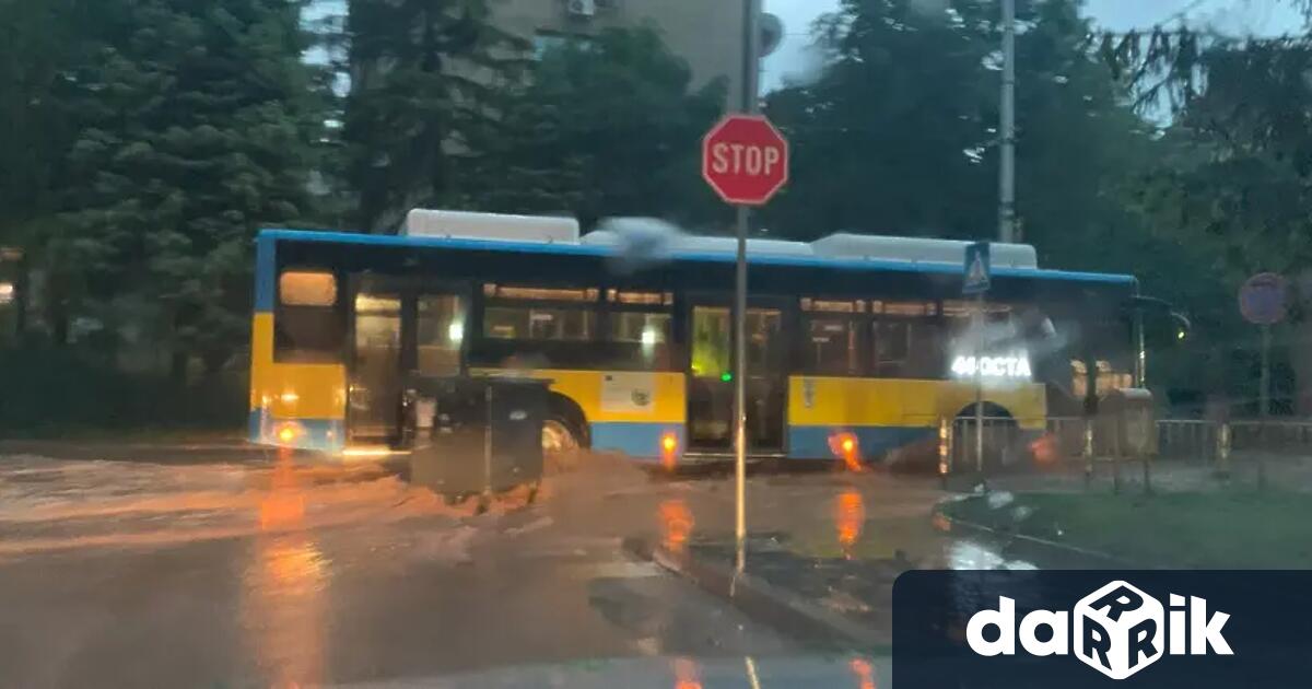 Силната буря разразила се в петъчната вечер е мобилизирала всички