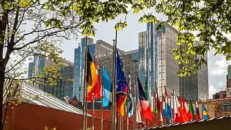 България, еврото и реакциите на евролидерите
