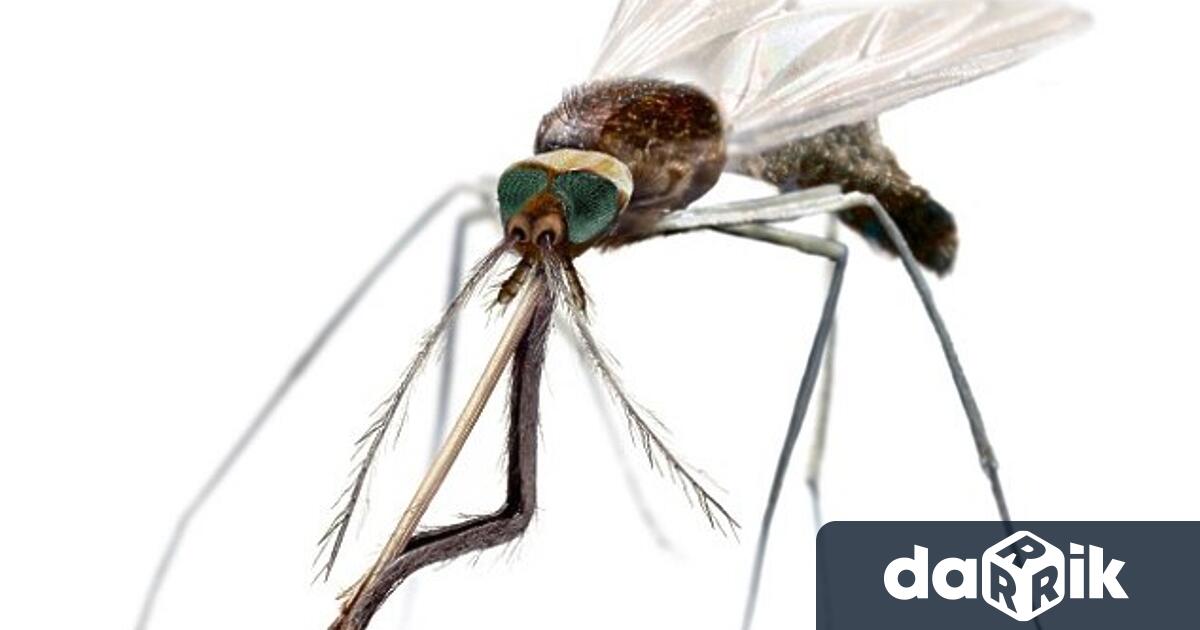 В изпълнение на Наредба № 13 2016 г за мерките за