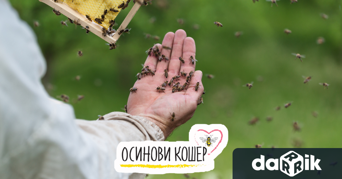 Често сме чували за важността на баланса в природата и