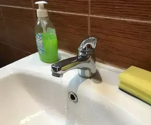 Горски извор на водоноски