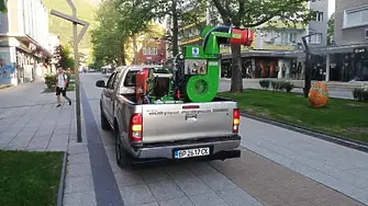 Във Враца ще бъде извършена обработка на дървесна растителност в града срещу листни въшки