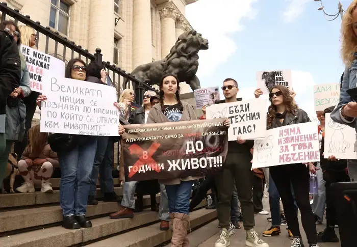 Върнаха в ареста Красимир Георгиев, обвинен за насилие над животни